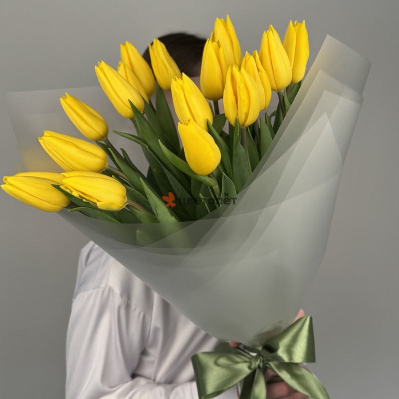 Голландский роман